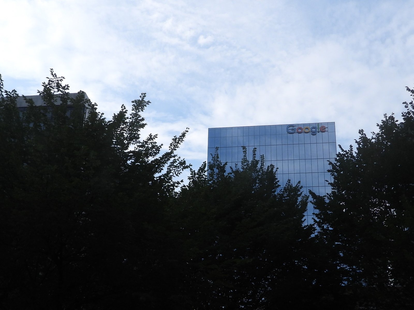 A Google office building framed by trees in Toronto